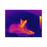 Тепловизор СЕМ DT-9875 481714