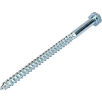 Сантехнический шуруп Госкреп 10х160 (2 шт) 3-0011630