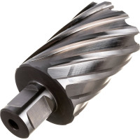 Фреза кольцевая HSS (40x55 мм; Weldon 19) ROTORICA RT.4215040