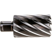 Фреза кольцевая HSS (40x55 мм; Weldon 19) ROTORICA RT.4215040