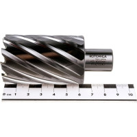 Фреза кольцевая HSS (40x55 мм; Weldon 19) ROTORICA RT.4215040