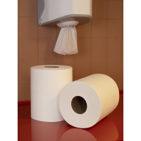 Полотенца бумажные д/дисп. Luscan PROFESSIONAL Luscan Professional 1сл300м 6рул/уп 486353