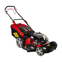 Бензиновая газонокосилка DDE LM 53-75 DB 246-708