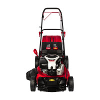 Бензиновая газонокосилка DDE LM 53-75 DB 246-708