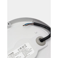Светильник накладной PHILIPS WT045C LED20/NW PSU CFW L1654 911401735872