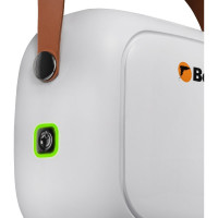 Пароочиститель BORT BDR-3000-RR 93722425