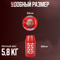 Бытовой полимерно-композитный газовый баллон для сжиженных газов RSV COMPOSITE 24,5 л К001 RSV24.5RED
