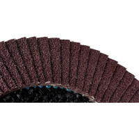 Диск лепестковый (125х22 мм; Р120) VOREL 07988