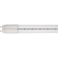 Светодиодная лампа Jazzway PLED T8-900 Food Meat 12Вт G13 230В/50Гц CL/PL для подсветки мясных продуктов 5006485
