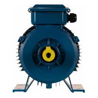Электродвигатель 5АИ 90 L4 2.2/1500 IM 1081 01.01.213462