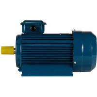 Электродвигатель 5АИ 90 L4 2.2/1500 IM 1081 01.01.213462