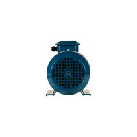 Электродвигатель 5АИ 90 L4 2.2/1500 IM 1081 01.01.213462