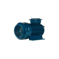 Электродвигатель 5АИ 90 L4 2.2/1500 IM 1081 01.01.213462