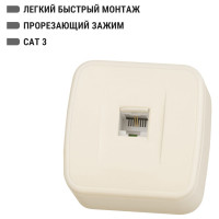 Розетка TФ TDM ELECTRIC слоновая кость (RJ-11) открытой установки IP20, серия "Дача" Народная SQ1824-0025