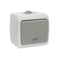 Одноклавишный выключатель EKF Мурманск с индикатором 10А IP54 серый EFV10-121-30-54