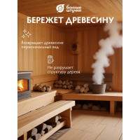 Антисептик для бани и сауны Банные штучки Чистая банька,1 л 34997