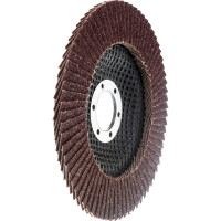 Круг лепестковый торцевой КЛТ (125х22.23 мм; P60) EDGE by PATRIOT 819010006