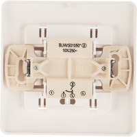 2-клавишный выключатель Systeme Electric BLANCA 10А, 250B, МОЛОЧНЫЙ BLNVS010502