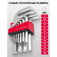 Набор ключей Forcekraft Г-образных 6-гранных, 13пр., в блистере FK-5137(29603)