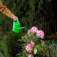 Садовая лейка Без бренда 2 л, пластмассовая 67505