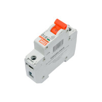 Автоматический выключатель ВА47-29 (1Р; 10 А; 4.5 кА; В) TDM SQ0206-0008