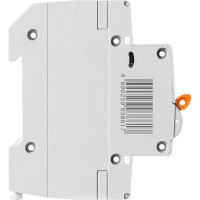 Автоматический выключатель ВА47-29 (1Р; 1 А; 4.5 кА; С) TDM ELECTRIC SQ0206-0065