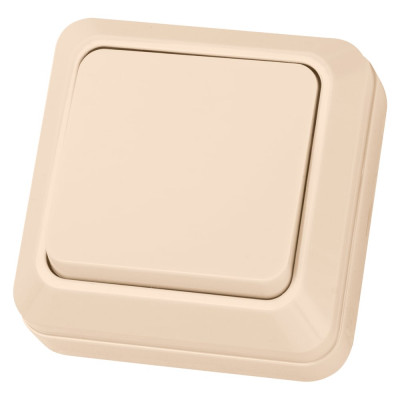 Одноклавишный выключатель TDM ELECTRIC открытой установки 10А слоновая кость Ладога SQ1801-0002