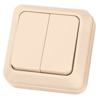Двухклавишный выключатель TDM ELECTRIC открытой установки, слоновая кость Ладога TDM ELECTRIC SQ1801-0004