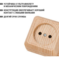 Розетка TDM ELECTRIC 2П открытой установки IP20 10А, сосна серия "Ладога" SQ1801-0049