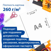 Картон для подшивки документов BRAUBERG А4, немелованный, 100 л, 260 г/м2, 210х297 мм, 124877