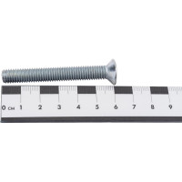 Винт с потайной головкой ВИРТУОЗ DIN965 8 х 60, 2 шт 21939