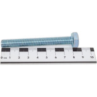 Болт с шестигранной головкой ВИРТУОЗ DIN933 10 х 80, 2 шт 01405