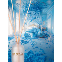 Ароматический диффузор Breesal Aroma Sphere Сладкие грезы ARD/004