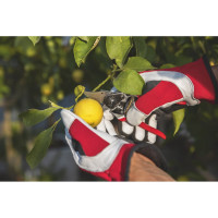 Одноручный секатор FELCO F14