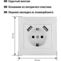 Розетка TDM ELECTRIC 2П+З 16А 250В + 2 USB порта 2,1А 5В белая Лама SQ1815-0042