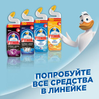 Чистящее средство для унитаза ТУАЛЕТНЫЙ УТЕНОК "Видимый Эффект", 900 мл 865020