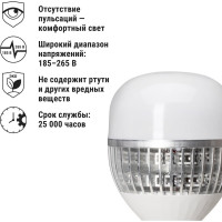 Светодиодная лампа TDM ELECTRIC T-120 Вт-230 В-6500 К–E27 170x295 мм НАРОДНАЯ SQ0340-1639