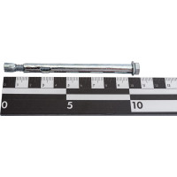 Анкерный болт BEFAST 8x100 5 шт. HNB081005S