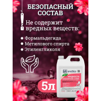 Жидкость для верхнего бачка биотуалета Goodhim БИО-Т, 5 л 50705