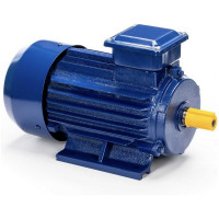Электродвигатель 5АИ 90 L2 3/3000 IM 1081 01.01.213461