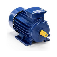 Электродвигатель 5АИ 90 L2 3/3000 IM 1081 01.01.213461