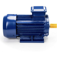 Электродвигатель 5АИ 90 L2 3/3000 IM 1081 01.01.213461