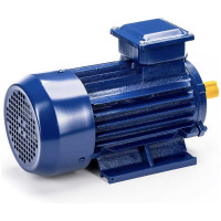Электродвигатель 5АИ 90 L2 3/3000 IM 1081 01.01.213461