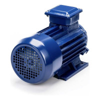 Электродвигатель 5АИ 90 L2 3/3000 IM 1081 01.01.213461