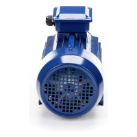 Электродвигатель 5АИ 90 L2 3/3000 IM 1081 01.01.213461