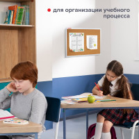 Пробковая доска для объявлений BRAUBERG 60х90 см, алюминиевая рамка 231712