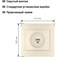 Компьютерная розетка TDM ELECTRIC Таймыр RJ45 слоновая кость SQ1814-0121