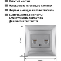 Розетка телефонная двойная RJ11 TDM ELECTRIC серебристый металлик, серия "Лама" SQ1815-0218
