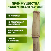 Бамбуковая поддержка GREEN APPLE GBS-10-75 75 см, 10 мм, 5 шт Б0008335