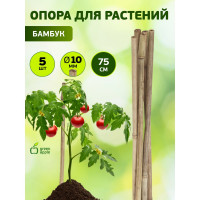 Бамбуковая поддержка GREEN APPLE GBS-10-75 75 см, 10 мм, 5 шт Б0008335